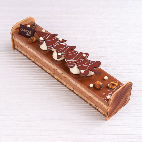 Buche 
