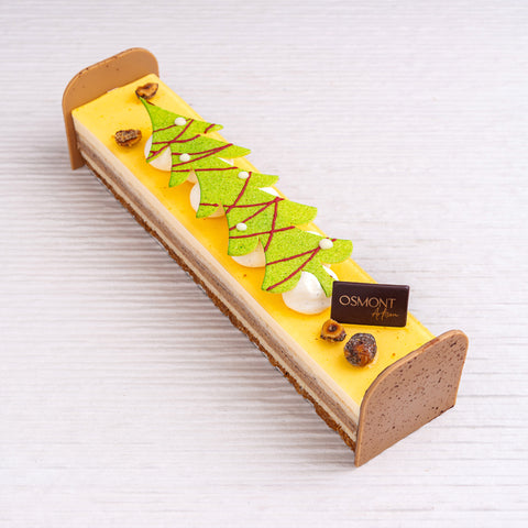 Buche 